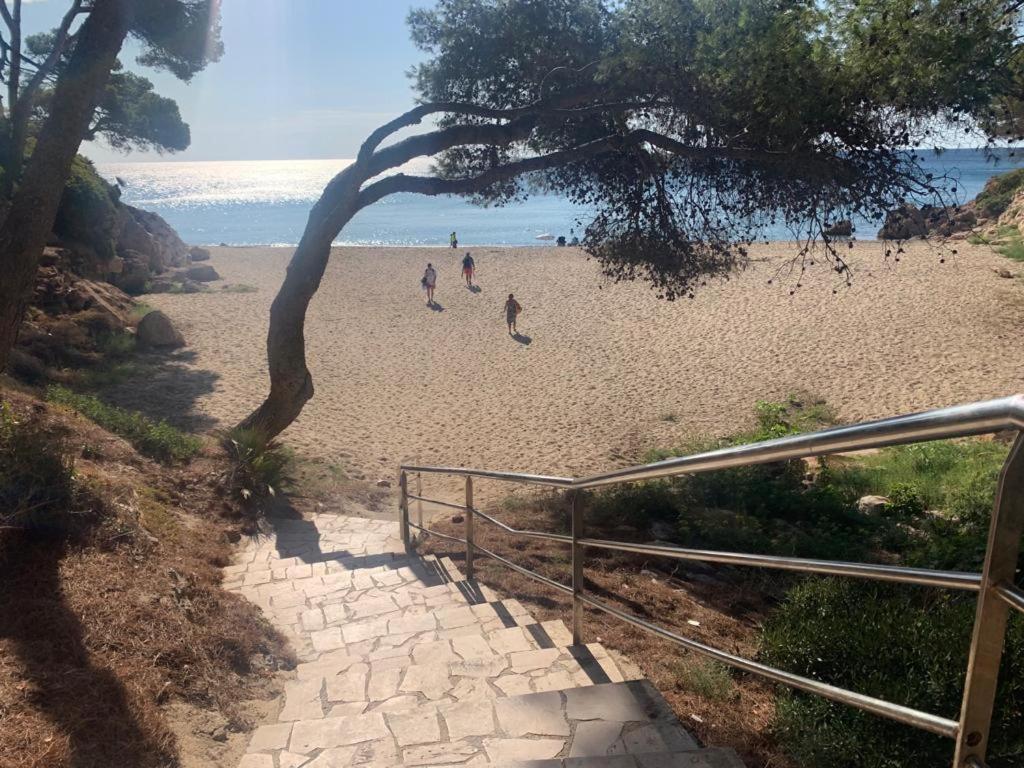 미아미플라자 Mimosas Vistas 아파트 외부 사진